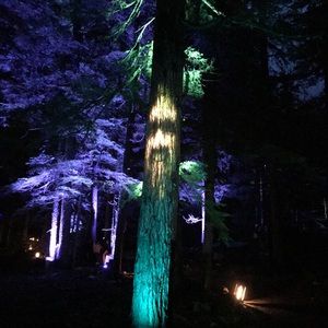 Meet your Posher, Deena